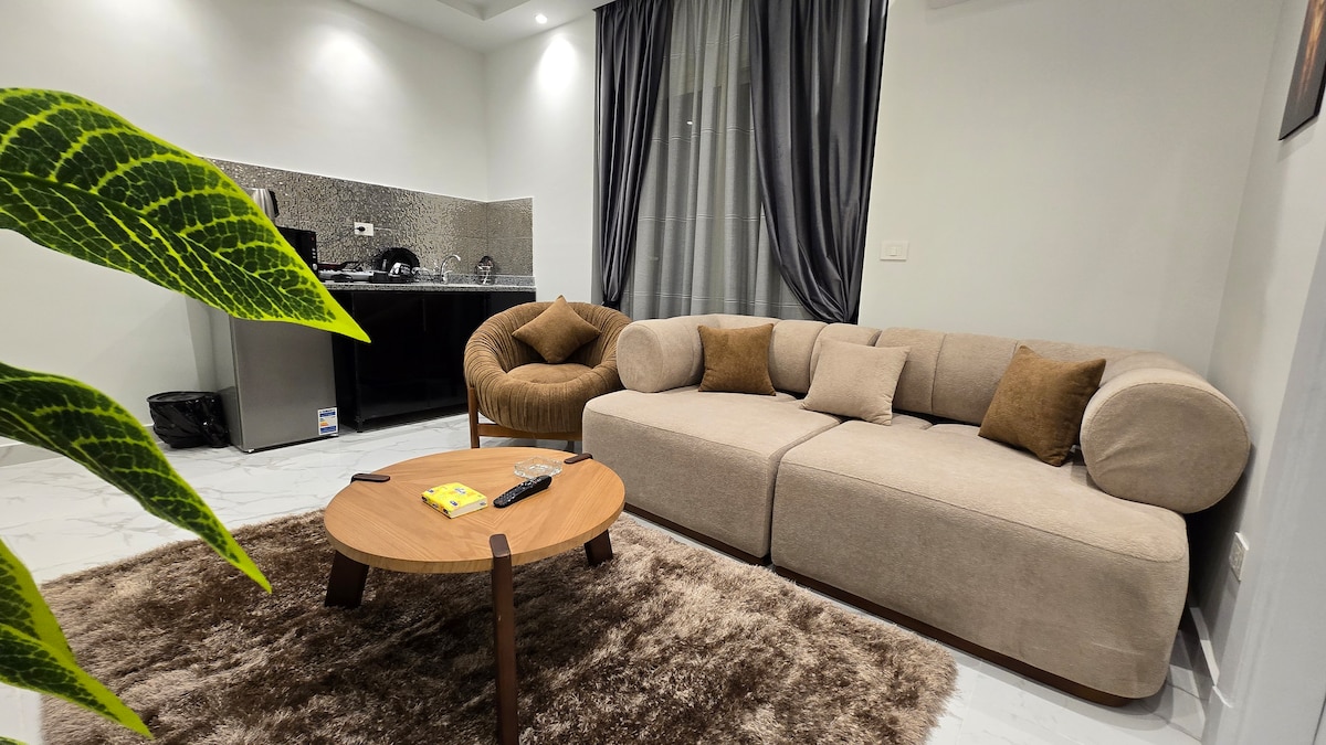 B302 · 1BR Apartment in Downtown Cairo Qasr El Nil B302 — photo 2