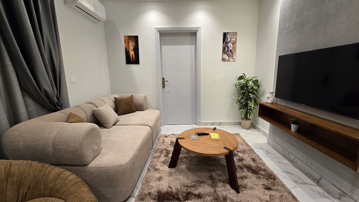 B302 · 1BR Apartment in Downtown Cairo Qasr El Nil B302 — photo 5