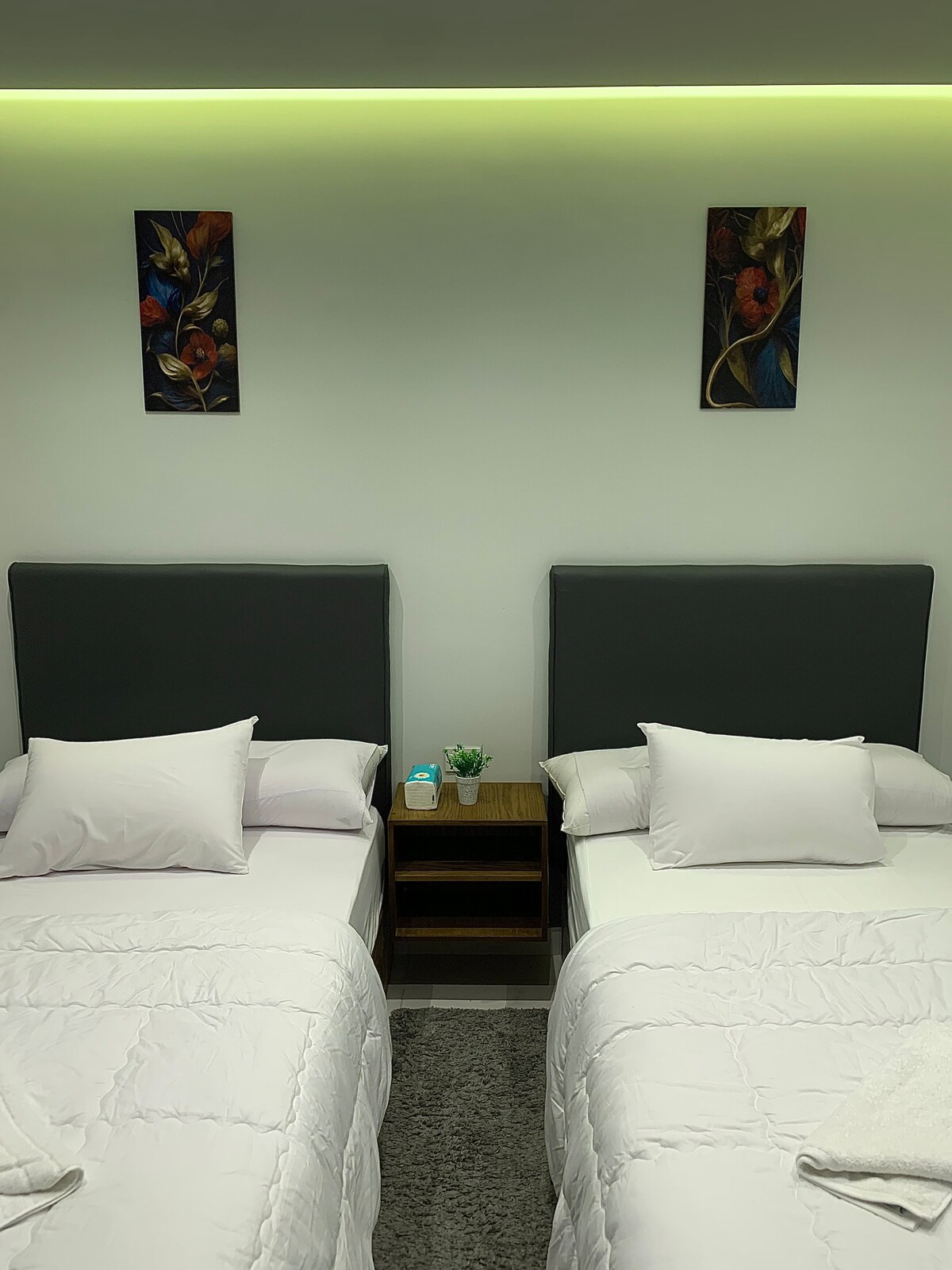 Serviced Studio near Egyptian Museum Cairo 4 — photo 4